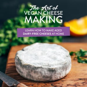 The Art of Vegan Cheese Making – Free eBook Now Available!