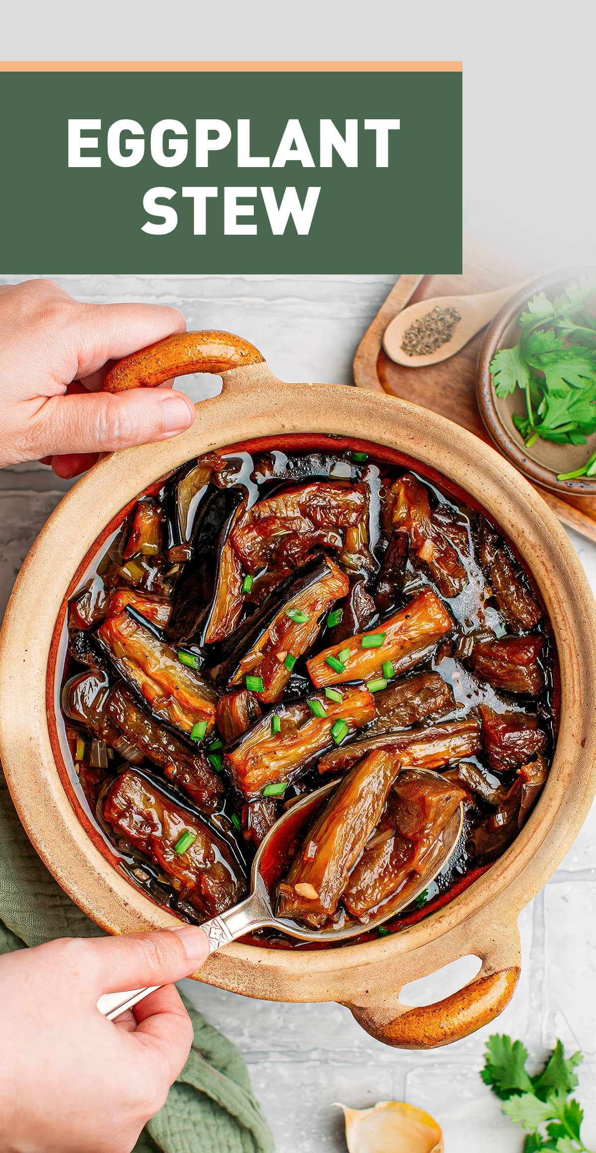 This eggplant stew features melty and juicy chunks of eggplant cooked in a sweet and salty sauce. It is infused with garlic, shallots, green onions, and soy sauce for plenty of umami goodness! This hearty meal is ideal for cold evenings and pairs perfectly with a serving of fluffy white rice. #vegan #plantbased #eggplant