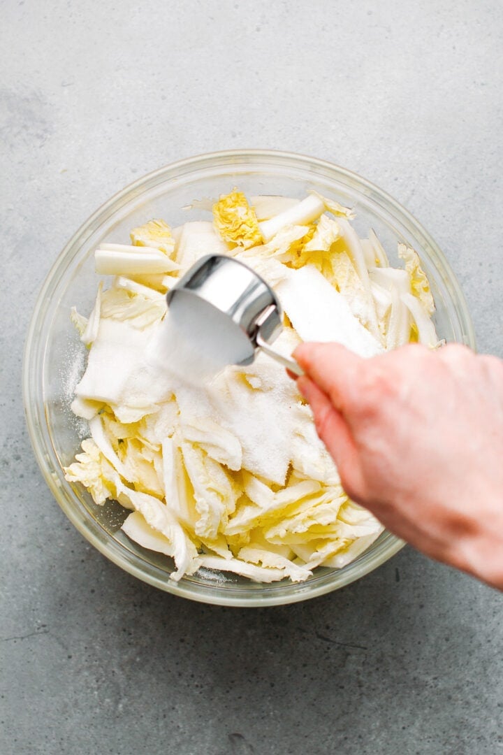 Adding salt to chopped Napa cabbage.