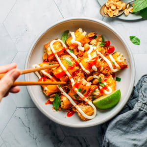 Spicy Jackfruit Spring Rolls with Mayo Drizzle