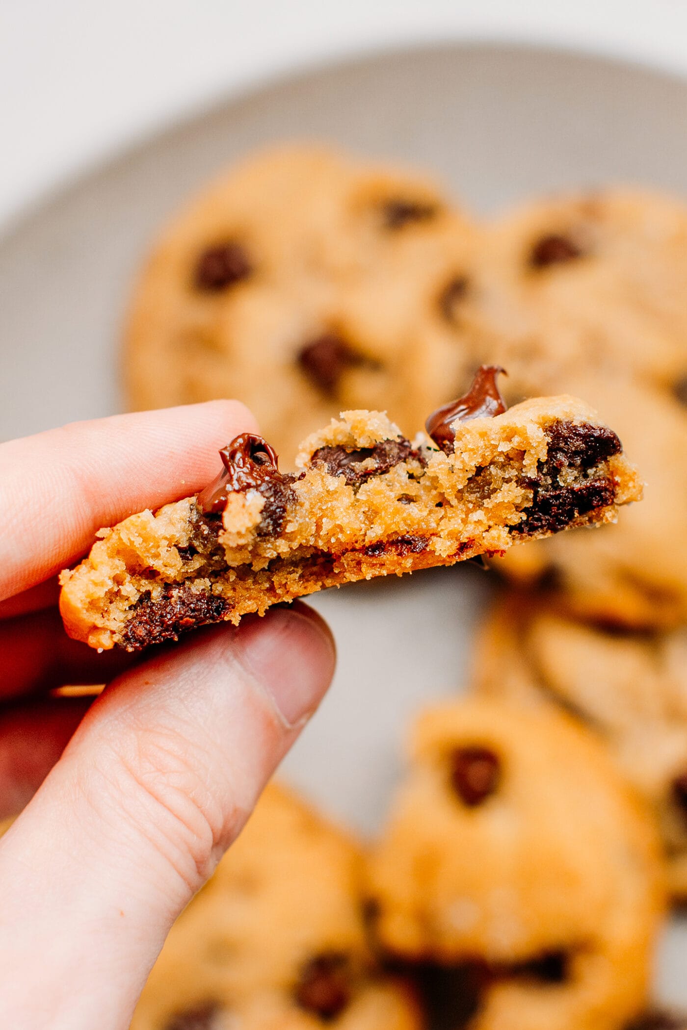 Close up of a chocolate chip cookie bite.