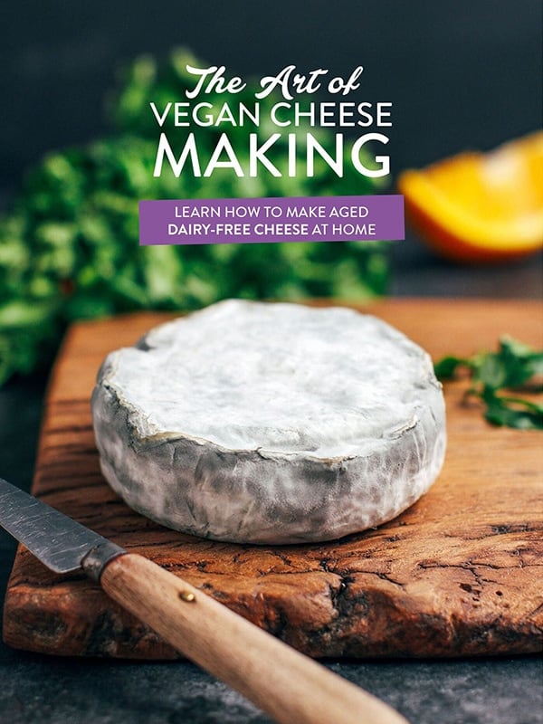The Art of Vegan Cheese Making