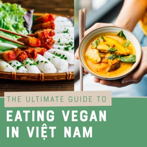 Ultimate Guide to Eating Vegan in Viet Nam