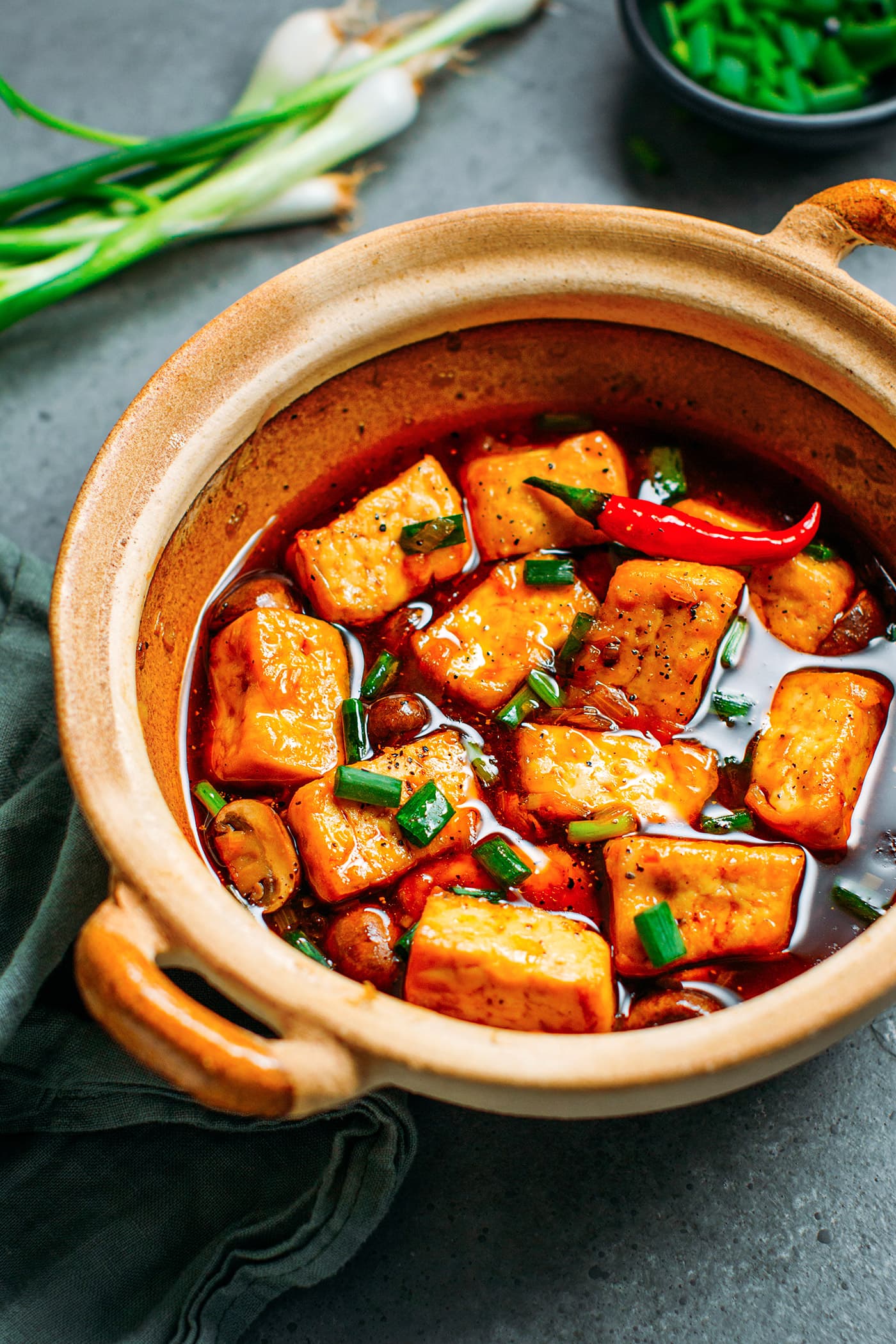 Close up of Vietnamese Braised Tofu & Mushrooms in a clay pot