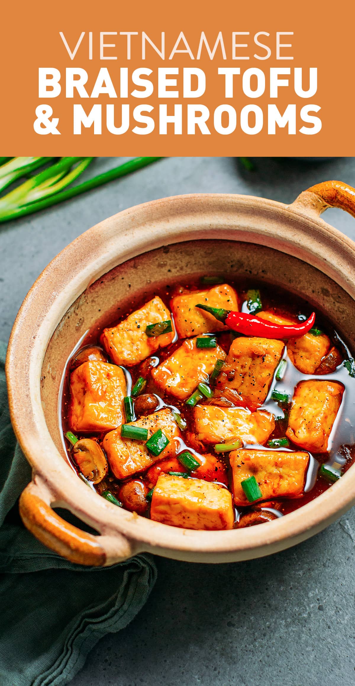 Vietnamese Braised Tofu & Mushrooms